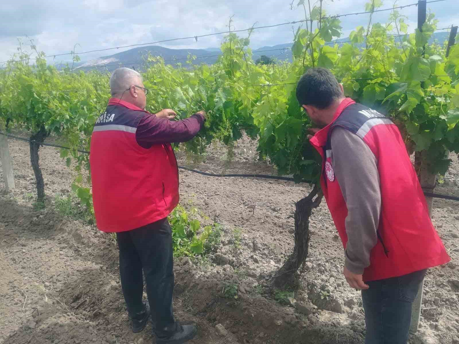 Manisa’da tarım denetimleri hız kesmiyor
