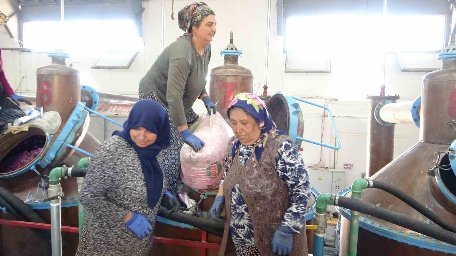 Isparta’nın pembe hazinesi: 4 ton gülden elde edilen yağın kilosu 12 bin avroya alıcı buluyor
