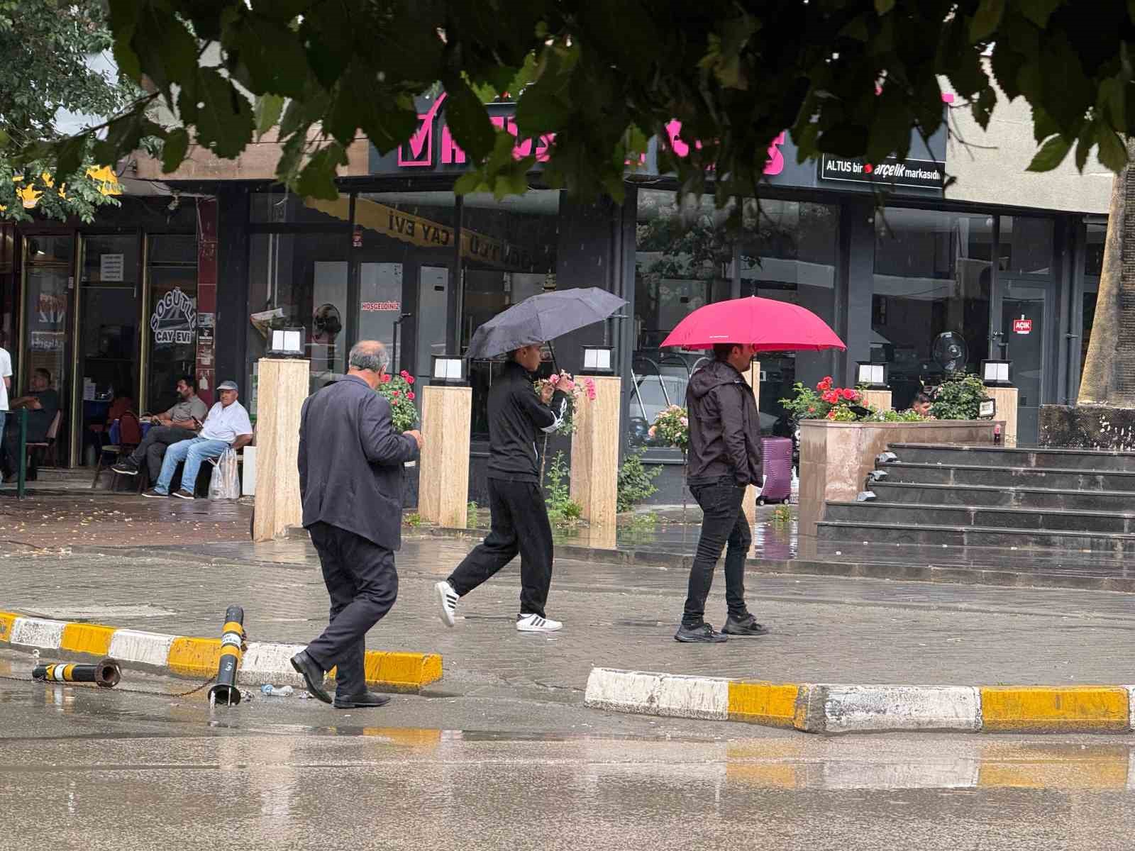 Iğdır’da sağanak yağış etkili oldu
