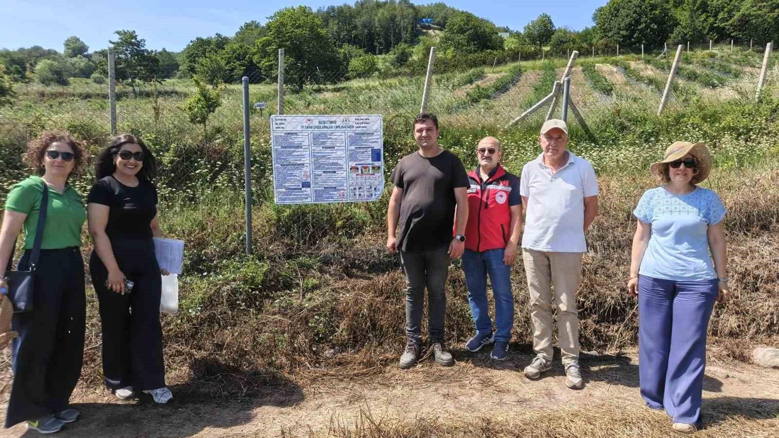 Yalova’da yaban mersininde iyi tarım uygulamaları denetleniyor
