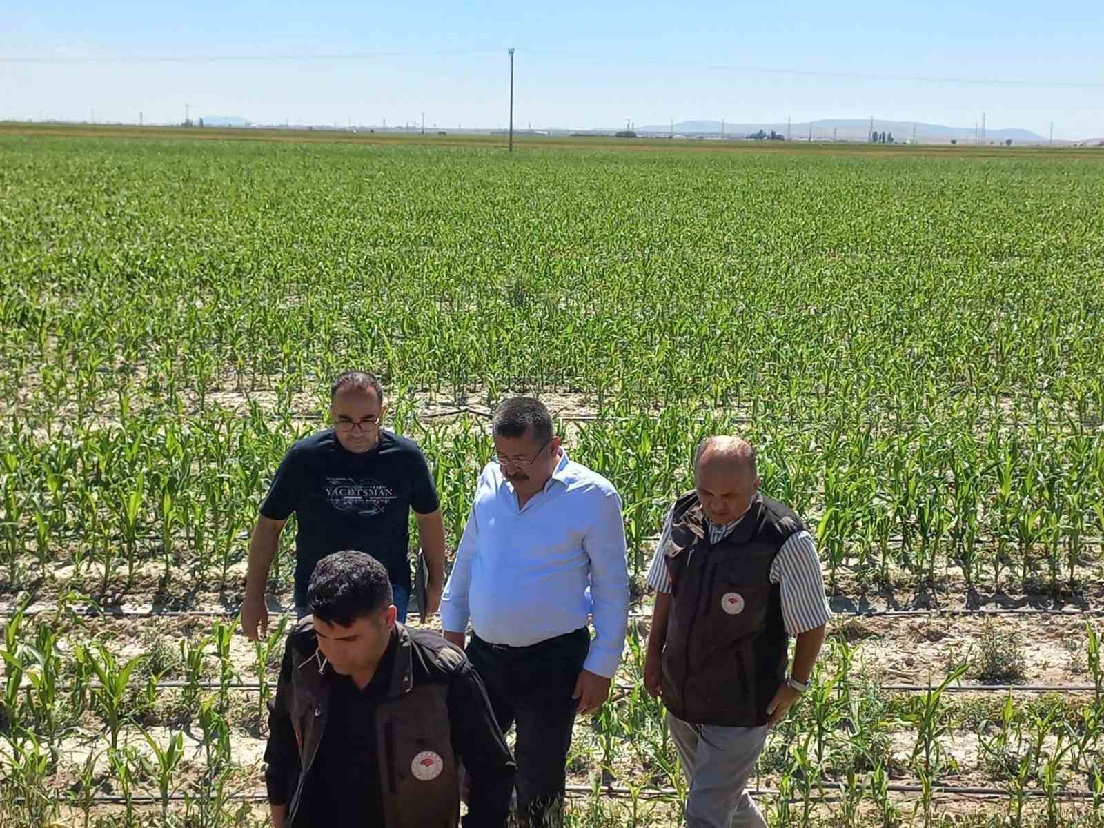 Karapınar’da dolu afetinin etkilediği alanlarda inceleme

