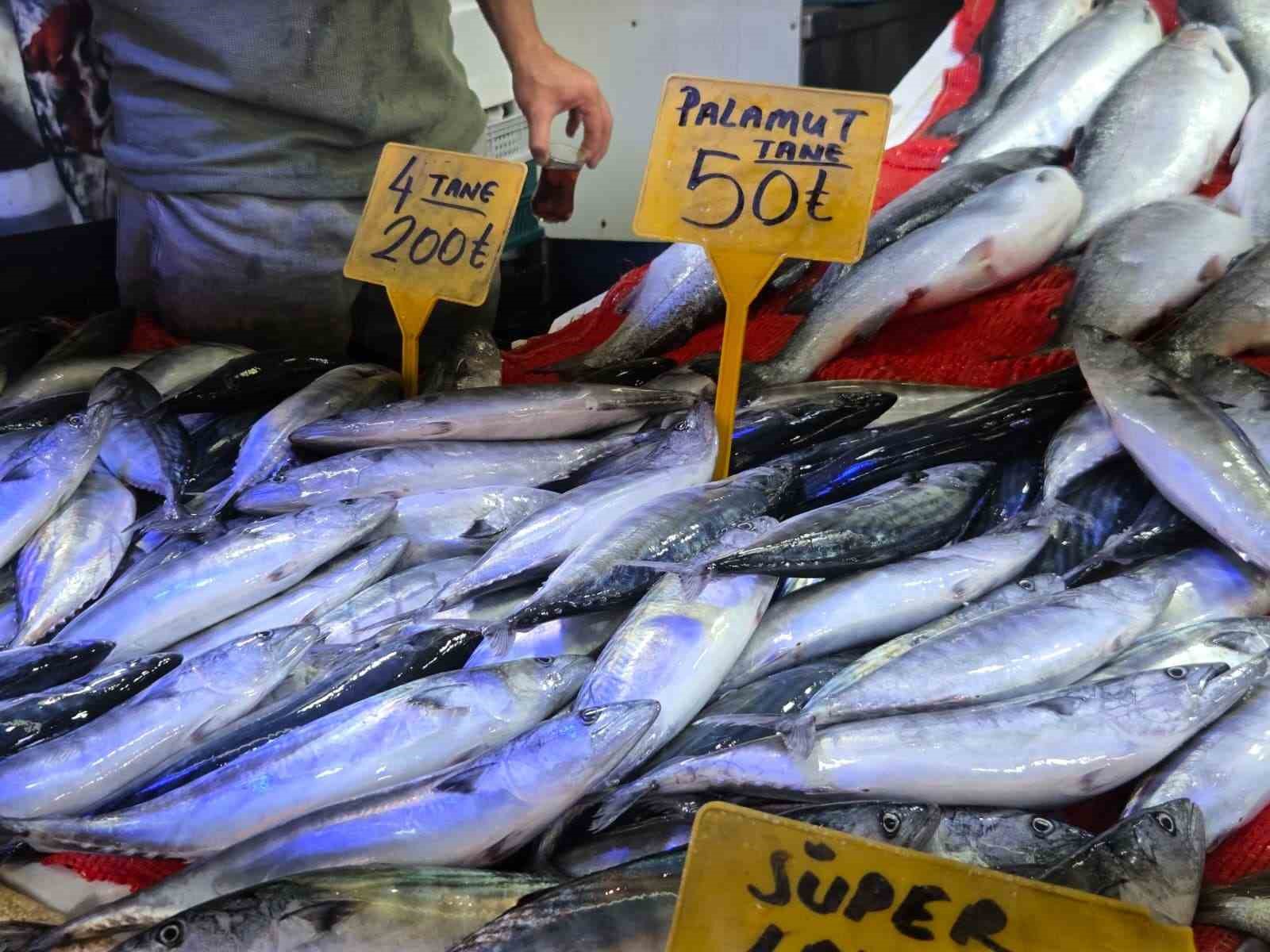 Palamut bedavadan biraz daha pahalı: Tanesi 50 TL
