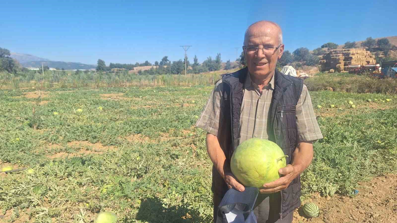 Manisalı çiftçi dede mirası ata tohumu karpuz geleneğini sürdürüyor
